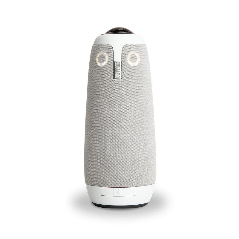 Owl 3