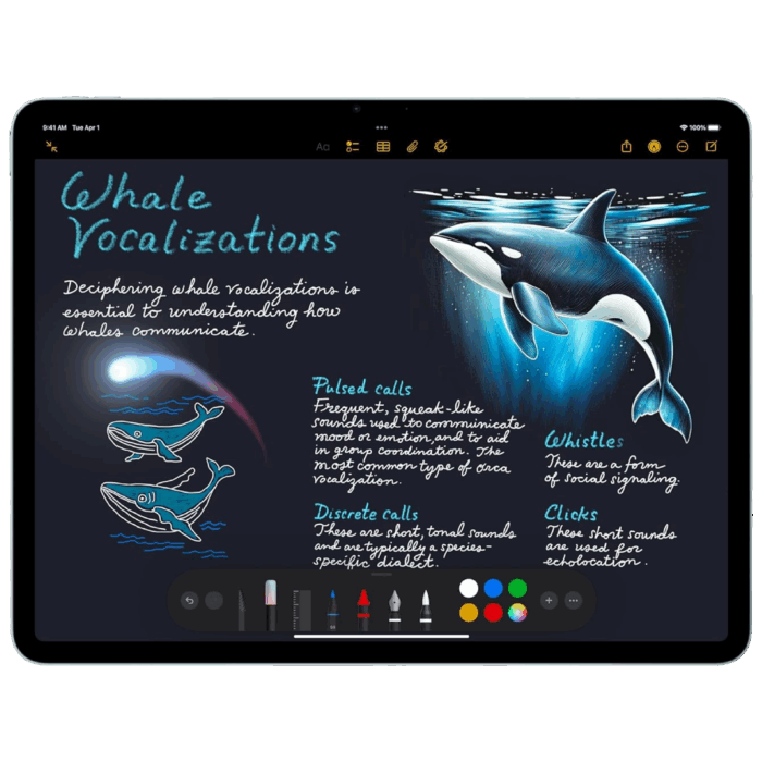 Apple iPad Air 13-inch M3 Chip - Image 4